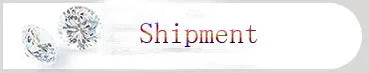 Hot Selling High Quality Authentic 925 Sterling Silver Snake Chain Bracelets Brand Charm Pandor bracelet For Women Jewelry