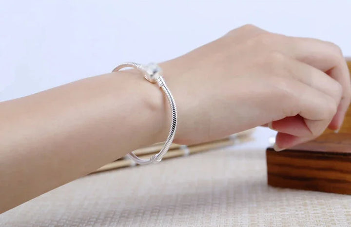 Hot Selling High Quality Authentic 925 Sterling Silver Snake Chain Bracelets Brand Charm Pandor bracelet For Women Jewelry